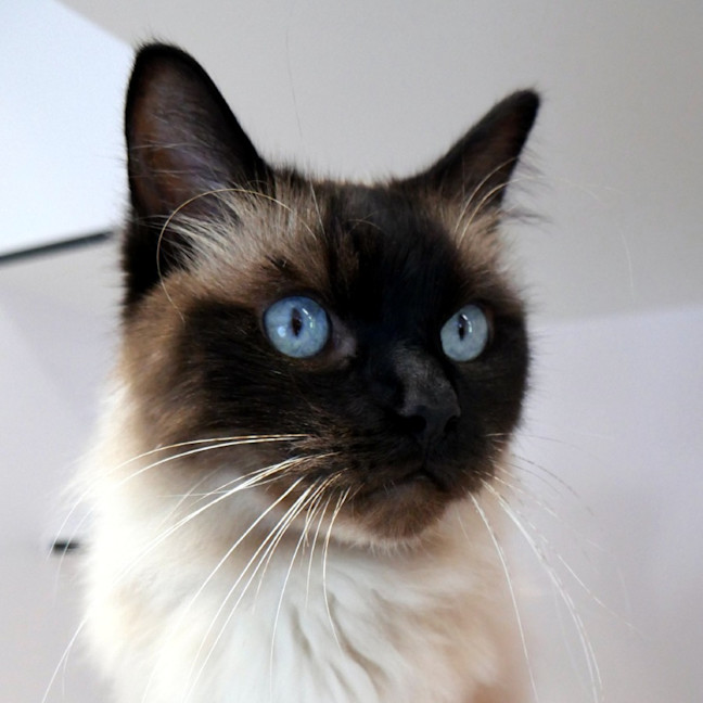 Photo of Bjorn Sta014571