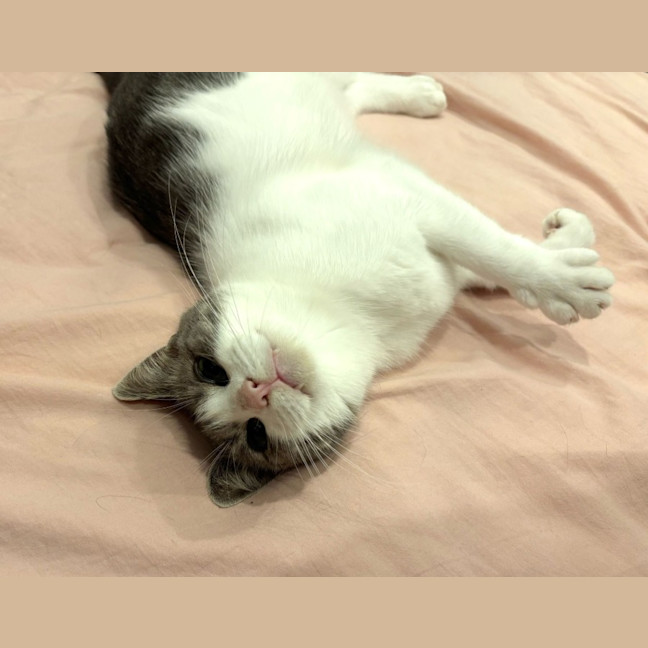 Photo of Alice