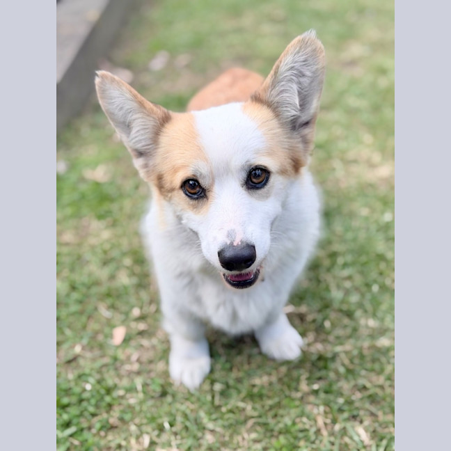 Photo of Lady 
