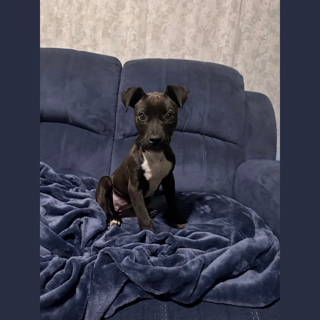 Photo of Murpshee