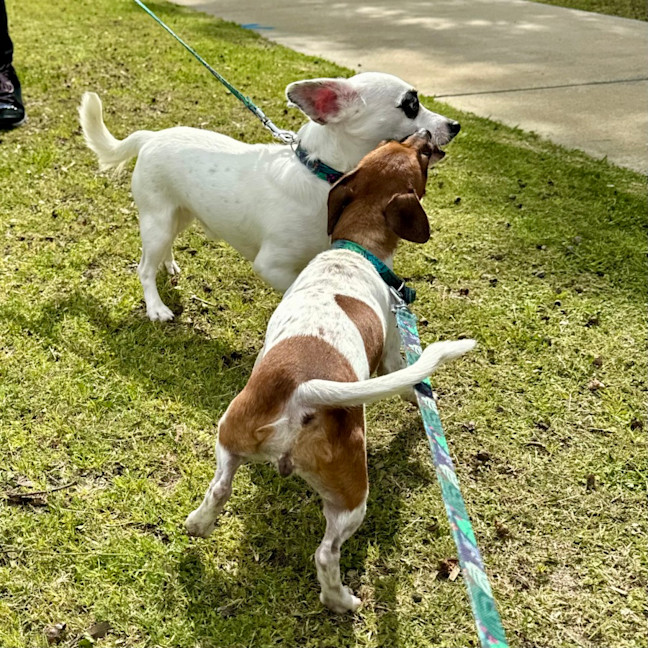 Photo of Gary And Willow 