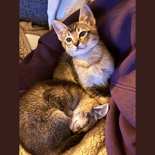 Photo of Sammy