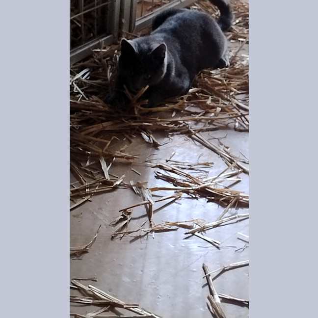 Photo of Storm And Blizzard