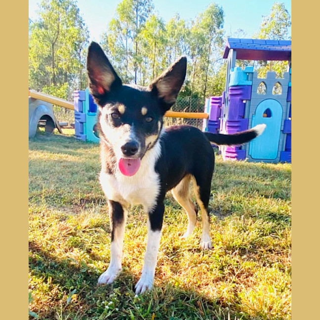 Photo of Pg (Pretty Girl)