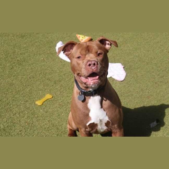 Photo of Major