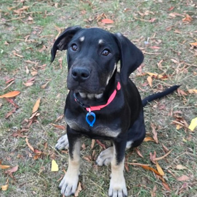 Photo of Cleo