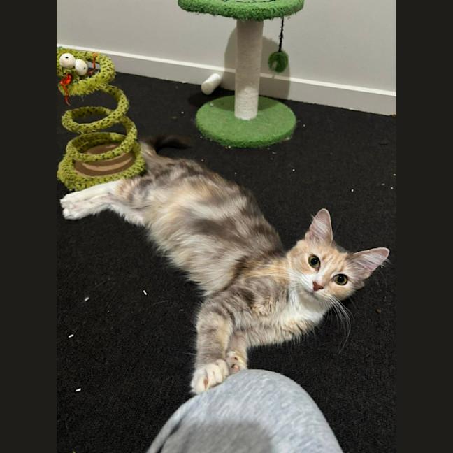 Photo of Sally
