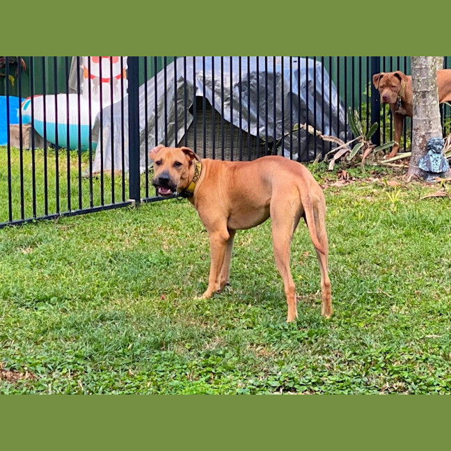 Photo of Zuko