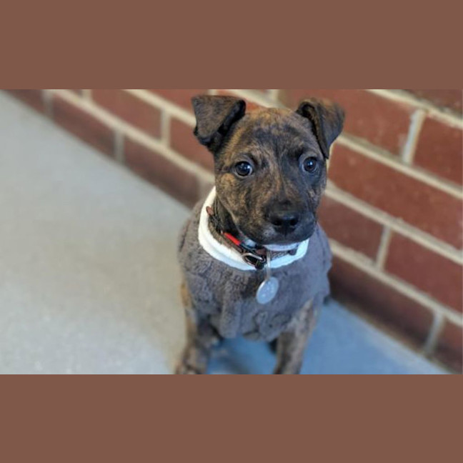 Photo of Bentley
