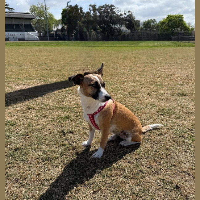 Photo of Lillie Uffelman