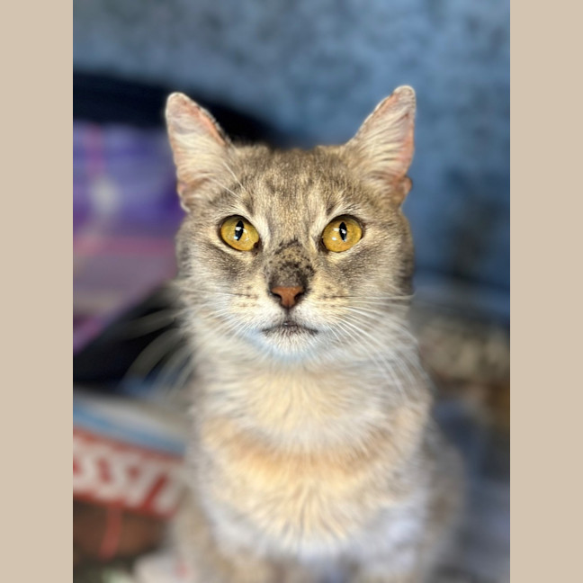 Photo of Audrey