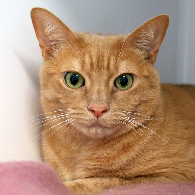 Photo of George Sua013134