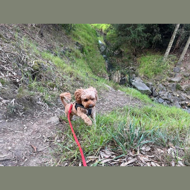 Photo of Winston Quinell