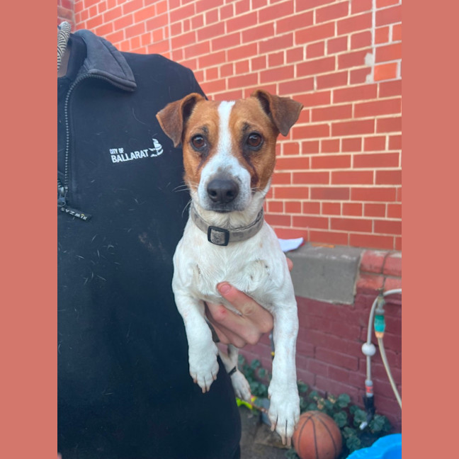 Photo of Bilbo Baggins