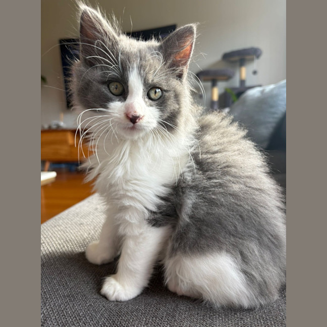 Photo of Geoffrey