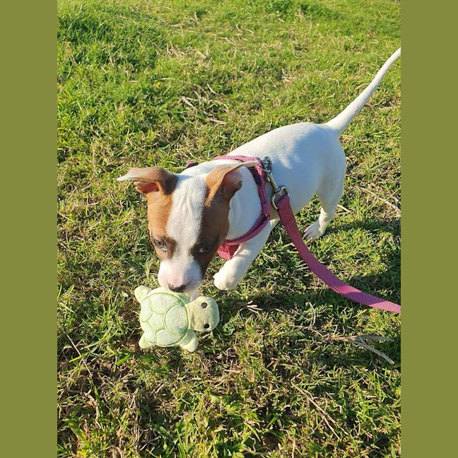 Photo of Lil P