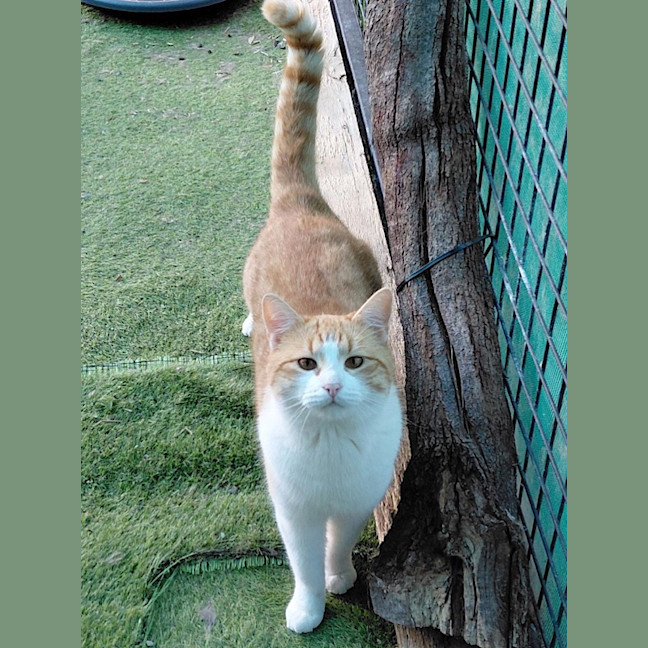 Photo of Jerry