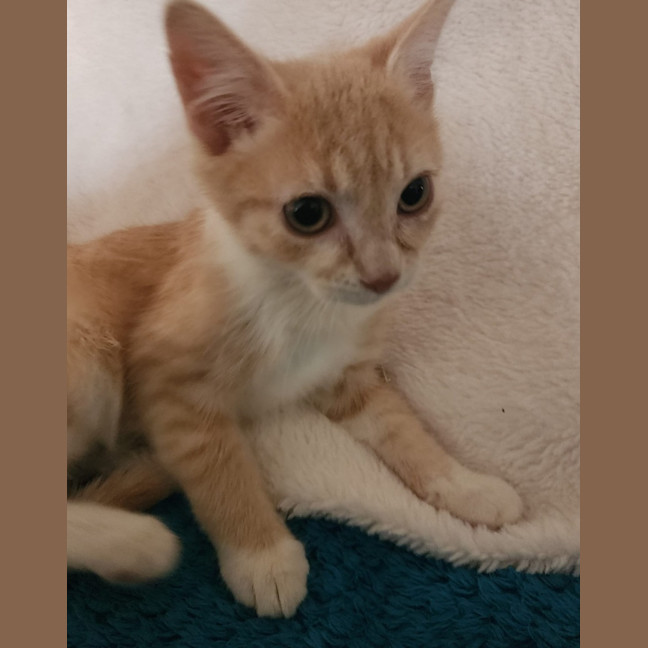 Photo of Damon 🧡