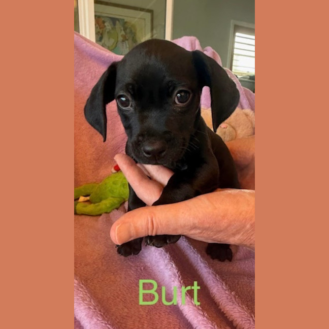 Photo of Burt