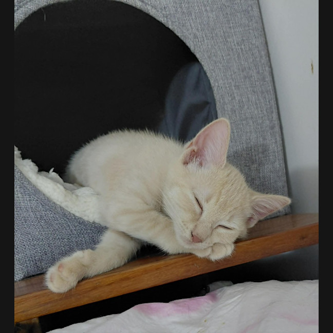 Photo of Molly