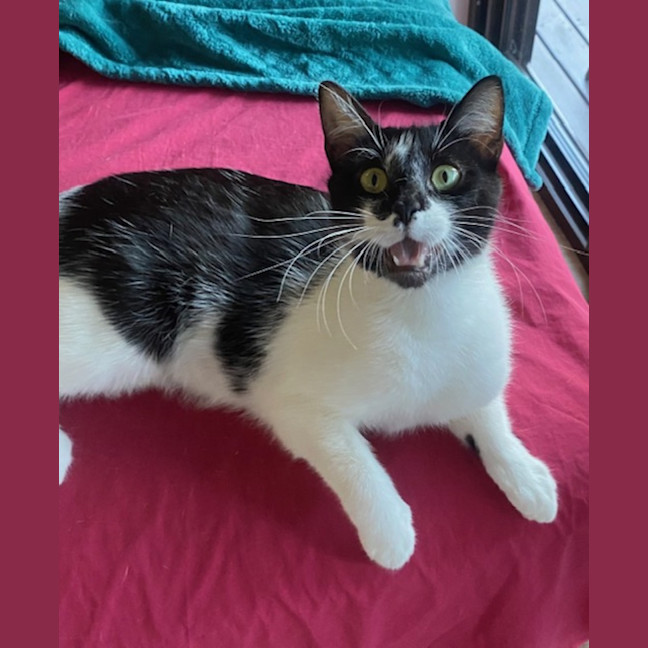 Photo of Georgie Girl