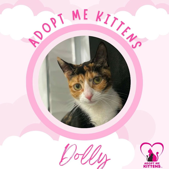 Photo of Dolly