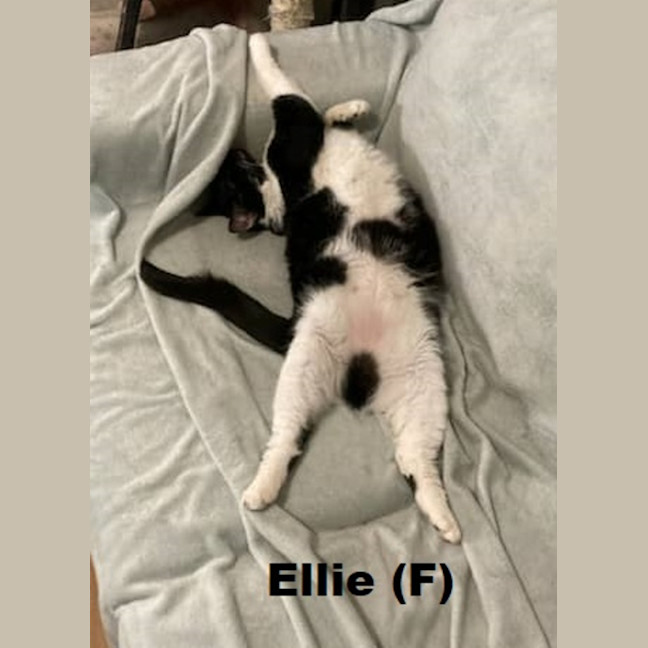 Photo of Ellie