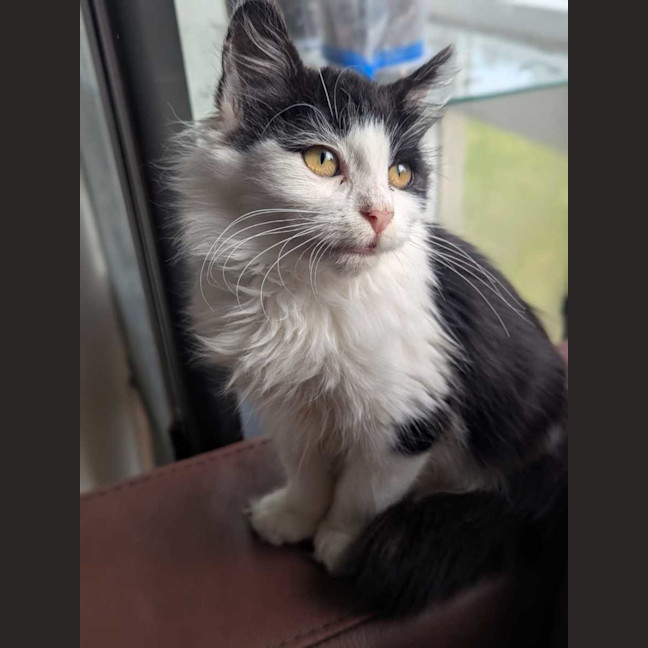 Photo of Emilia & Jade