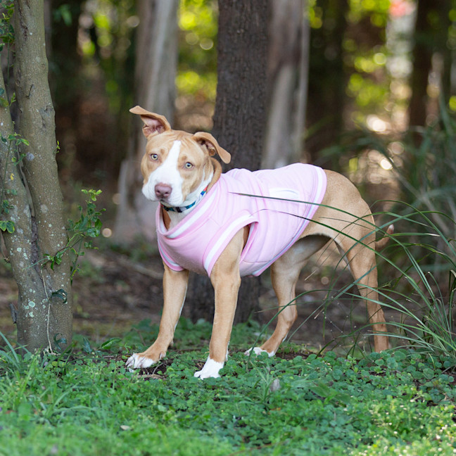 Photo of Bonnie