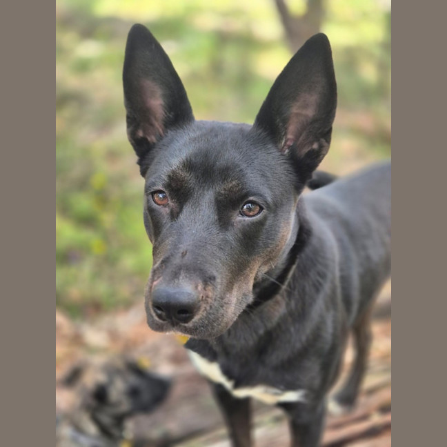Photo of Sally