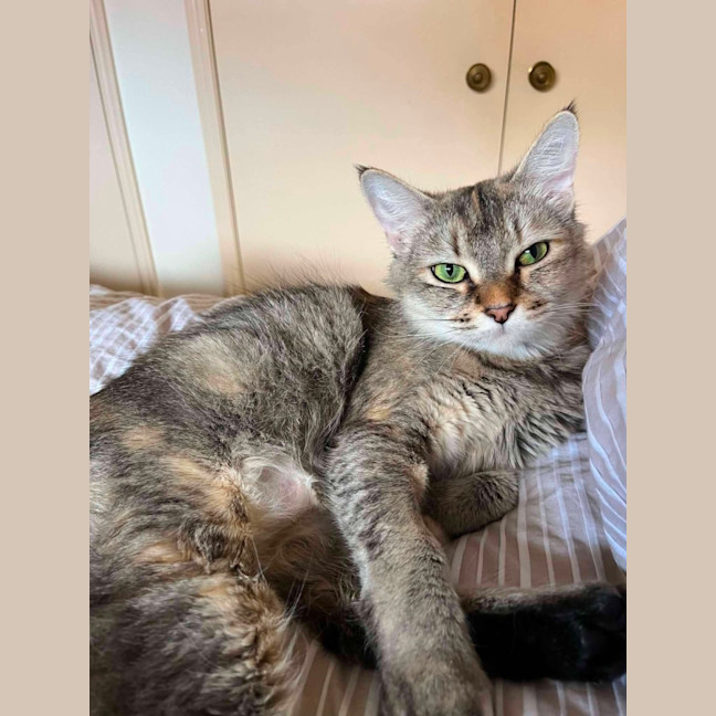 Photo of Nevaeh