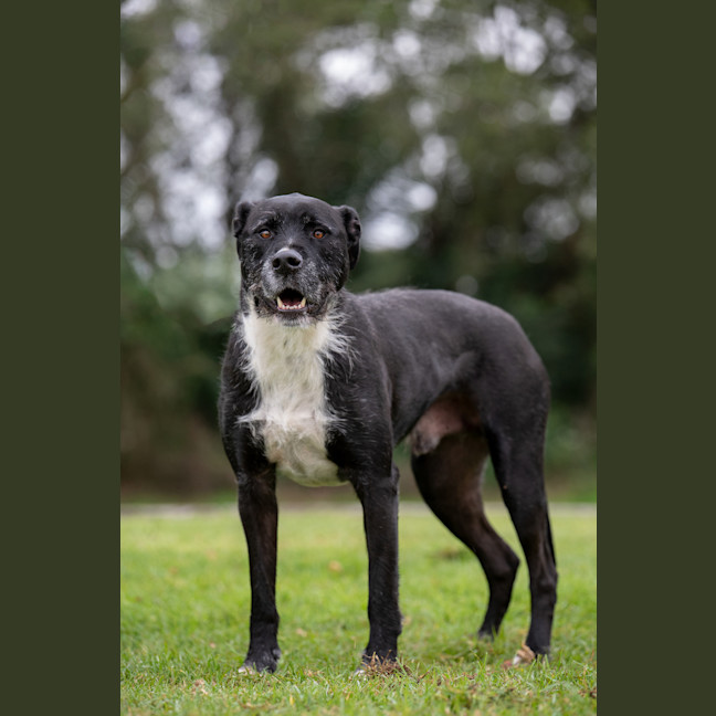 Photo of Snoop