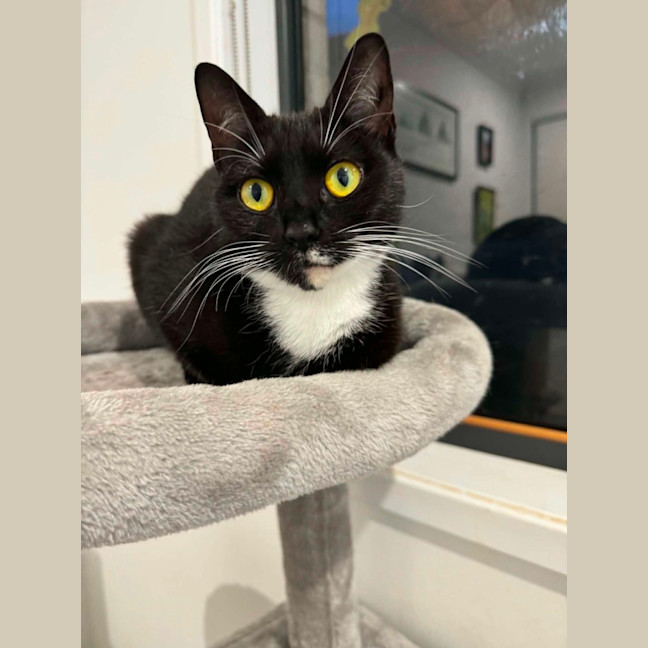 Photo of Edwina 