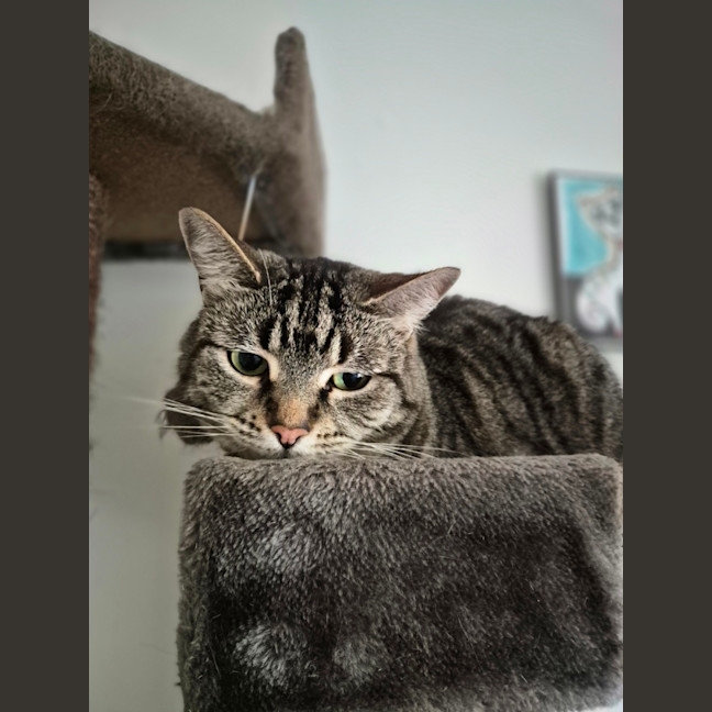 Photo of Marley