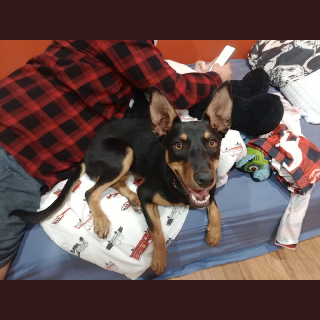 Photo of Rosie