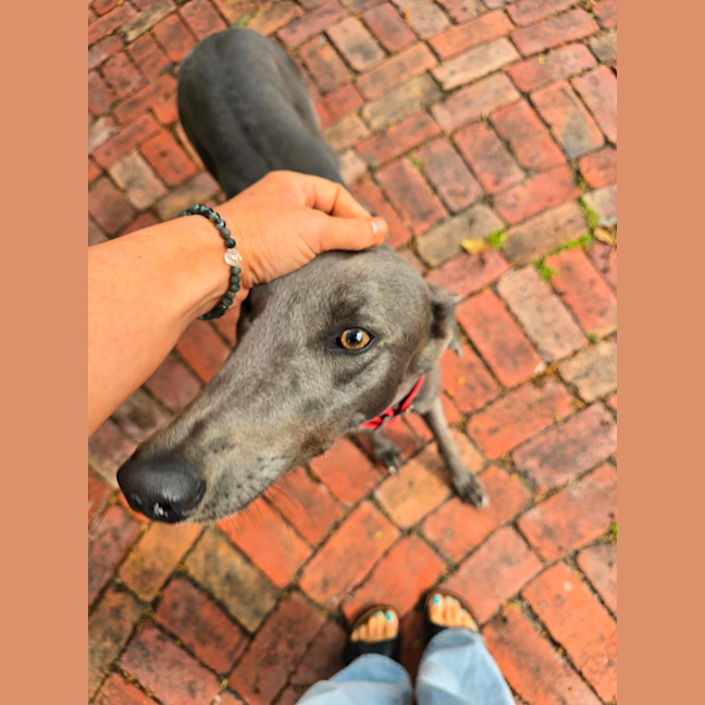 Photo of Smokey
