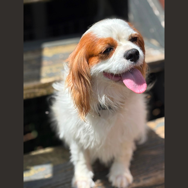 Photo of Isabelle