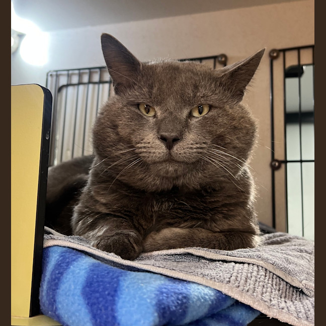 Photo of Luther