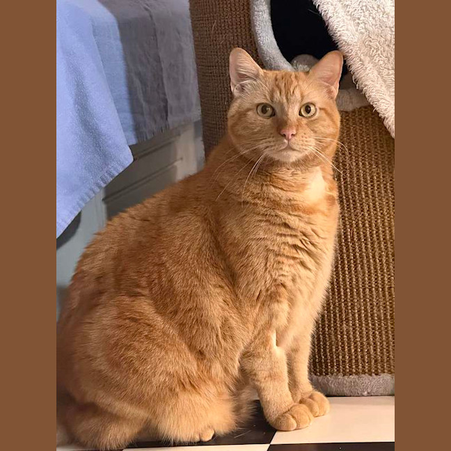 Photo of Bert