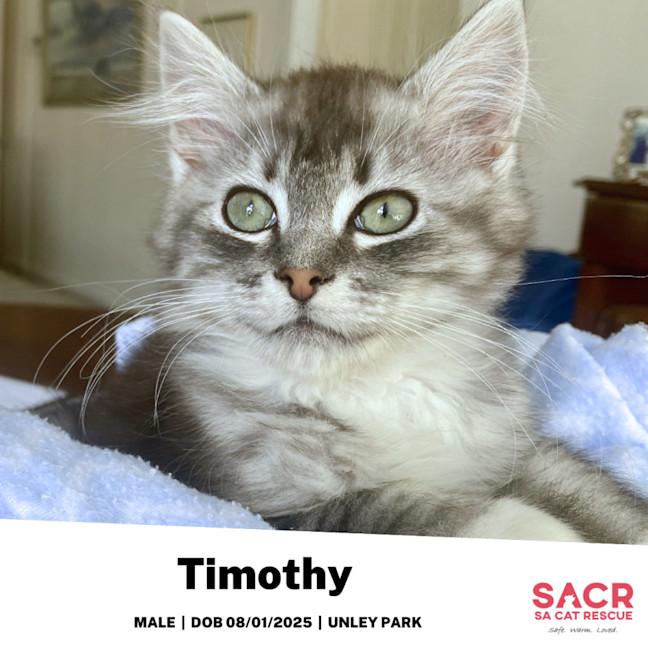 Photo of Timothy
