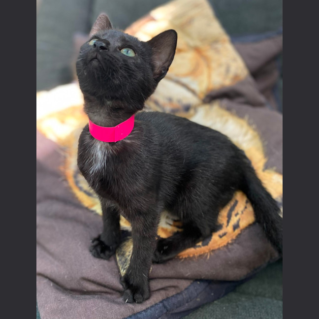 Photo of Einstein (9991)