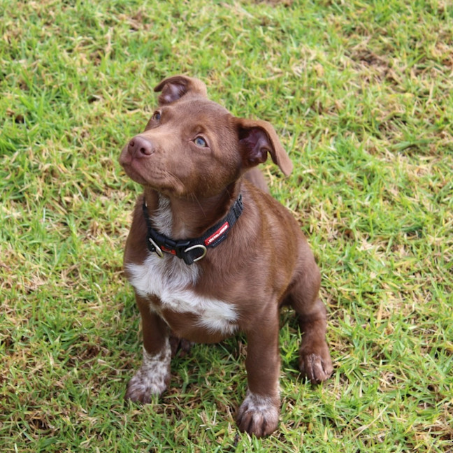 Photo of Hallie