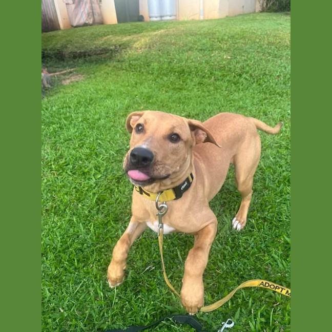 Photo of Lilly 