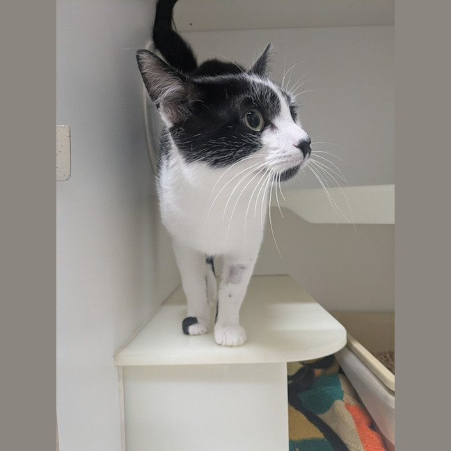 Photo of ⚓ Captain 6688 ⚓