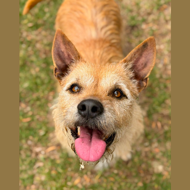 Photo of Bess