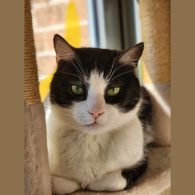 Photo of 🐦 Carlo 5437 🐦