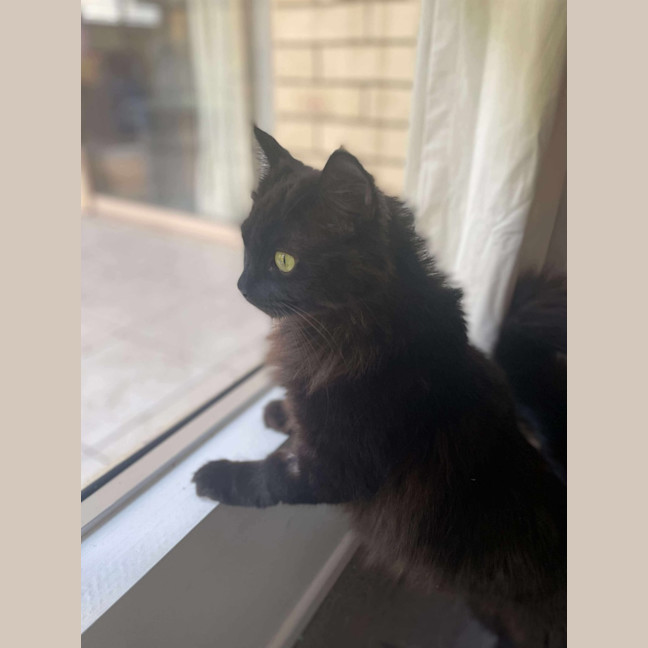 Photo of Morticia