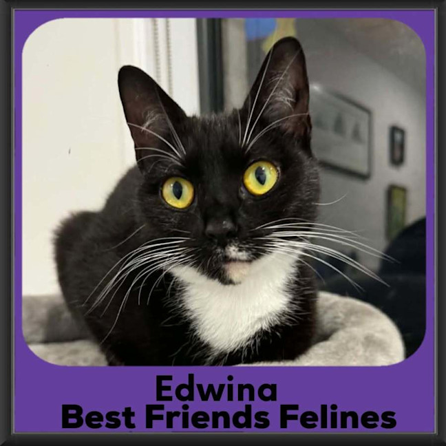 Photo of Edwina 
