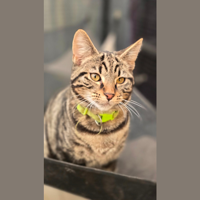 Photo of Spike