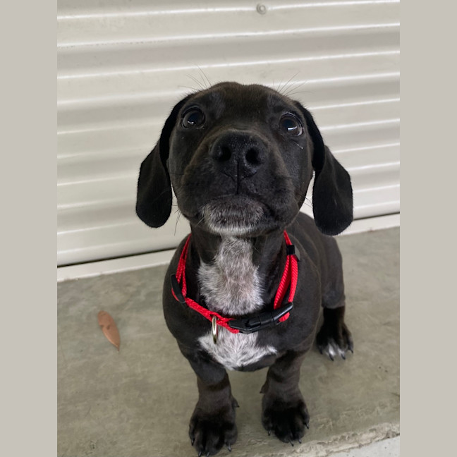 Photo of Murphy